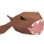 Raw Monkfish