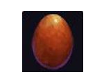 Wildfowl Egg