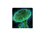 Bioluminescent Mushroom Heroic Itemlevel 174