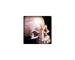 Skull of Impending Doom