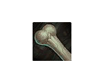Pallid Bone