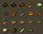 Runescape 3 Food package