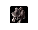 Ghost Mushroom 20