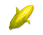 Corn*100