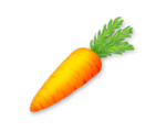Carrot*100