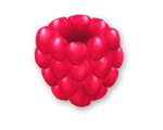 Raspberry*100