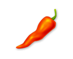 Chili Pepper*100
