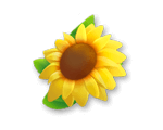 Sunflower*100