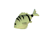 Raw Cavefish