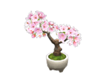 Cherry blossom Theme