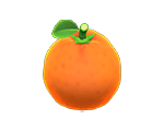 Orange*50