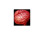 Basilisk Brain